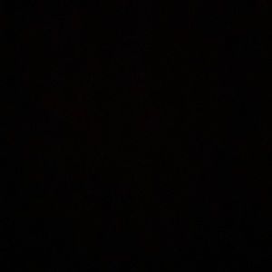 Meet your Posher, Elza